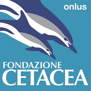 fondazione-cetacea