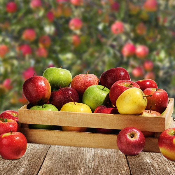 Sconto 40% sulle mele