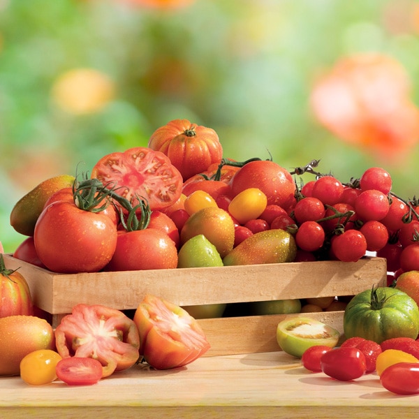 Sconto 40%  su tutti i pomodori freschi